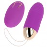 ADDICTED TOYS ANILLA PENE CON PLUG ANAL CONTROL REMOTO NEGRO RECARGABLE