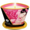 SHUNGA MINI CARESS BY CANDELIGHT VELA MASAJE VAINILLA 170ML