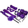 EXPERIENCE BDSM FETISH KIT SERIE PURPLE