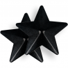 COQUETTE CHIC DESIRE CUBRE PEZONES - ESTRELLAS NEGRAS