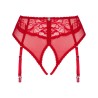 OBSESSIVE - DAGMARIE PANTIES CON LIGUERO XS/S