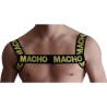 MACHO - ARNES DOBLE PRIDE LIMITED