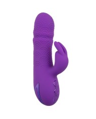 CALEXOTICS - MANHATTAN BEACH MARVEL VIBRADOR RABBIT MORADO BY CALIFORNIA DREAMING