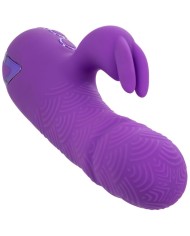 CALEXOTICS - MANHATTAN BEACH MARVEL VIBRADOR RABBIT MORADO BY CALIFORNIA DREAMING