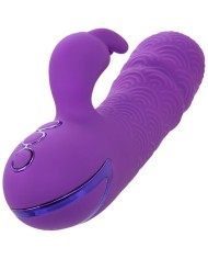 CALEXOTICS - MANHATTAN BEACH MARVEL VIBRADOR RABBIT MORADO BY CALIFORNIA DREAMING