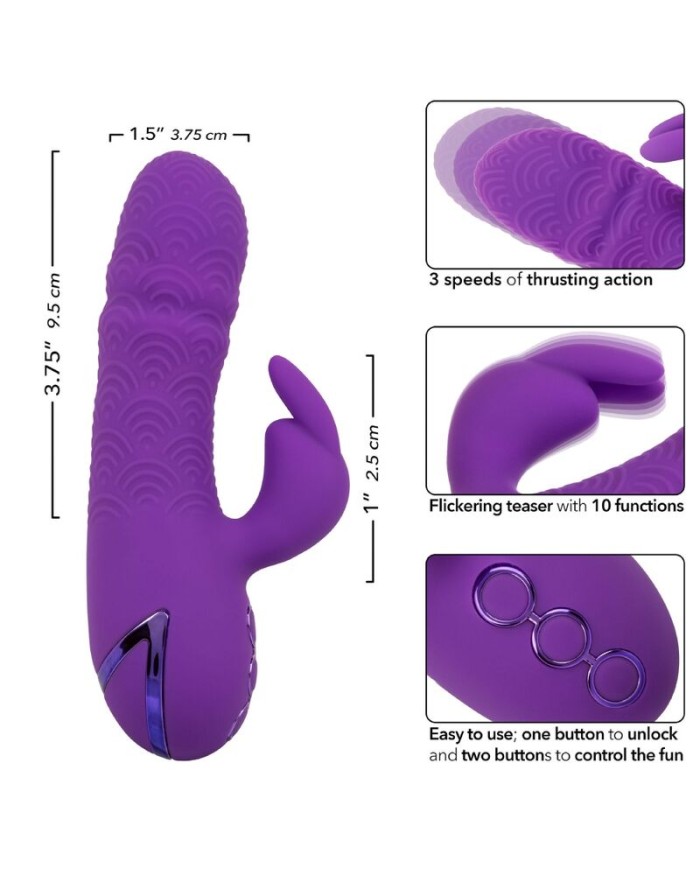 CALEXOTICS - MANHATTAN BEACH MARVEL VIBRADOR RABBIT MORADO BY CALIFORNIA DREAMING