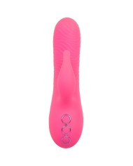 CALEXOTICS - SACRAMENTO SWEETIE VIBRADOR RABBIT ROSA BY CALIFORNIA DREAMING