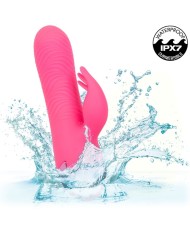 CALEXOTICS - SACRAMENTO SWEETIE VIBRADOR RABBIT ROSA BY CALIFORNIA DREAMING