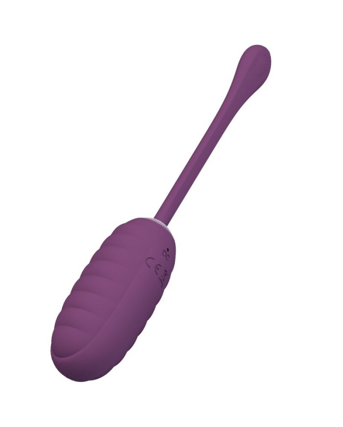 PRETTY LOVE - CASPER HUEVO VIBRADOR RECARGABLE MORADO